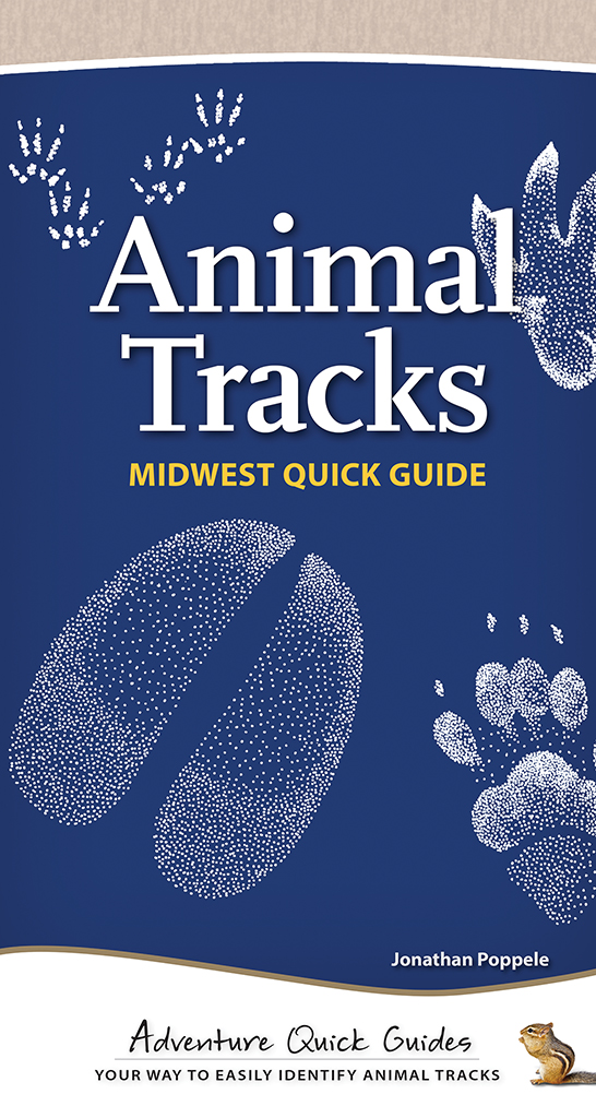 Animal Tracks: Adventure Quick Guide - Butterfly House