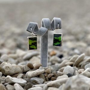 Madagascan Sunset Moth Earrings
