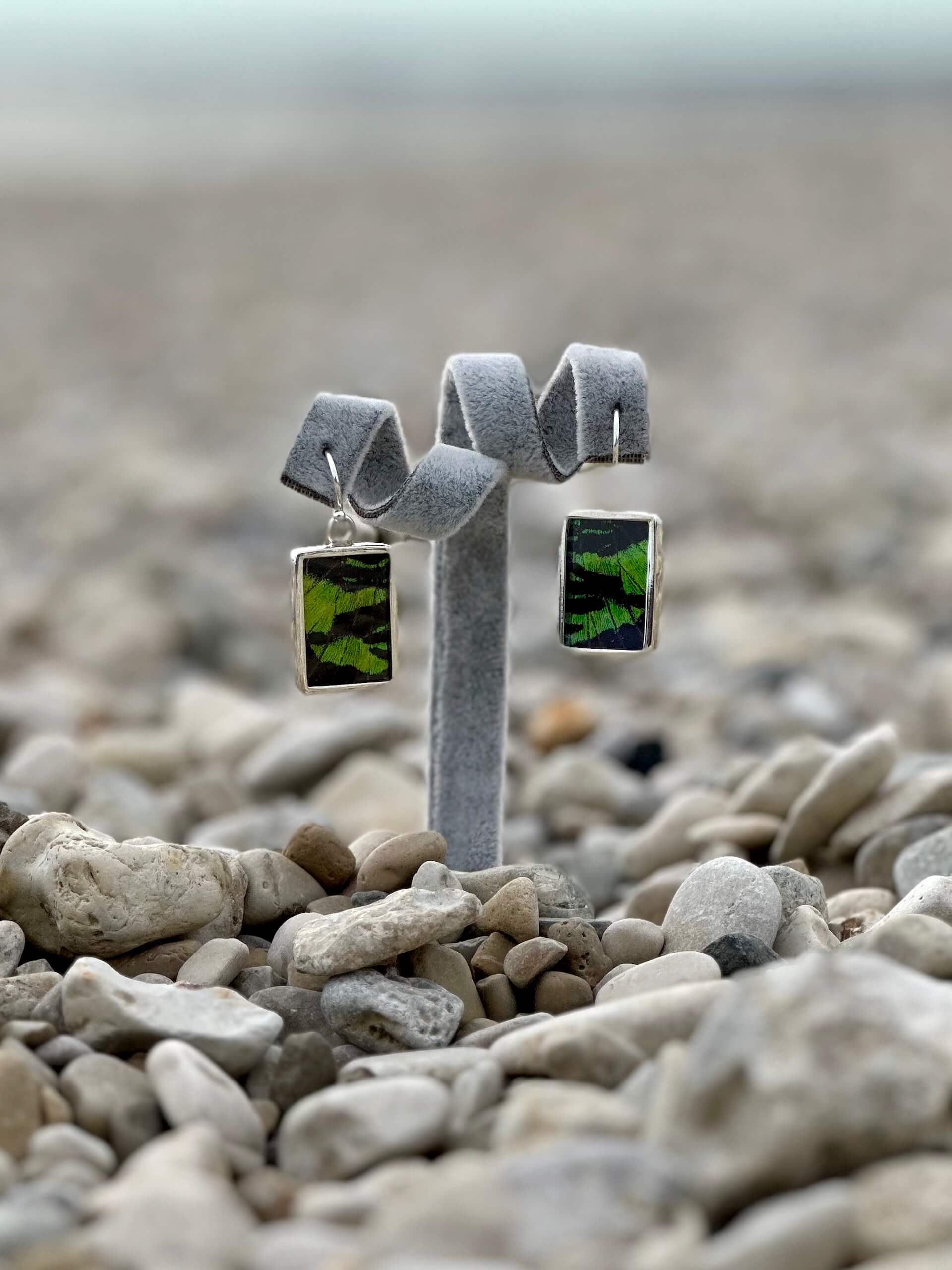 Madagascan Sunset Moth Earrings