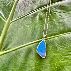 Blue Morpho Wing Shaped Pendant