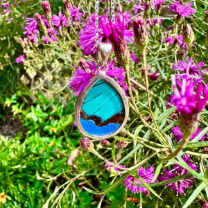Jungle Jade Swallowtail and Blue Morpho Butterfly Pendant