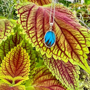 Ulysses Swallowtail Oval Pendant