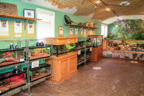 insect world on mackinac island