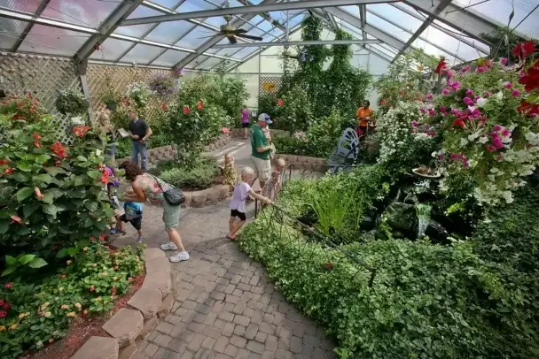 visit the butterfly garden