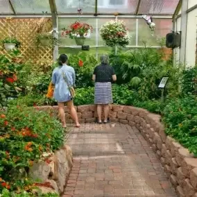 butterfly house groups and tours